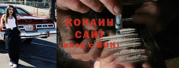 гидра Аркадак