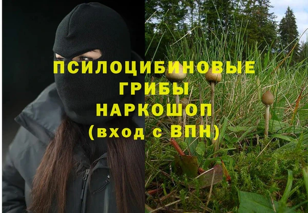 меф Армянск
