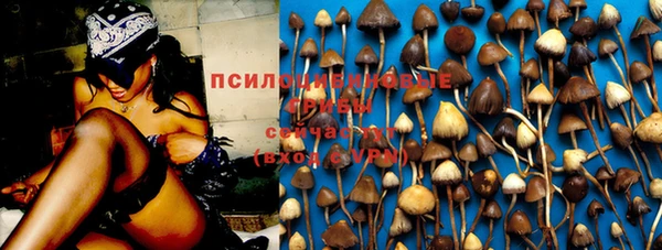 меф Армянск